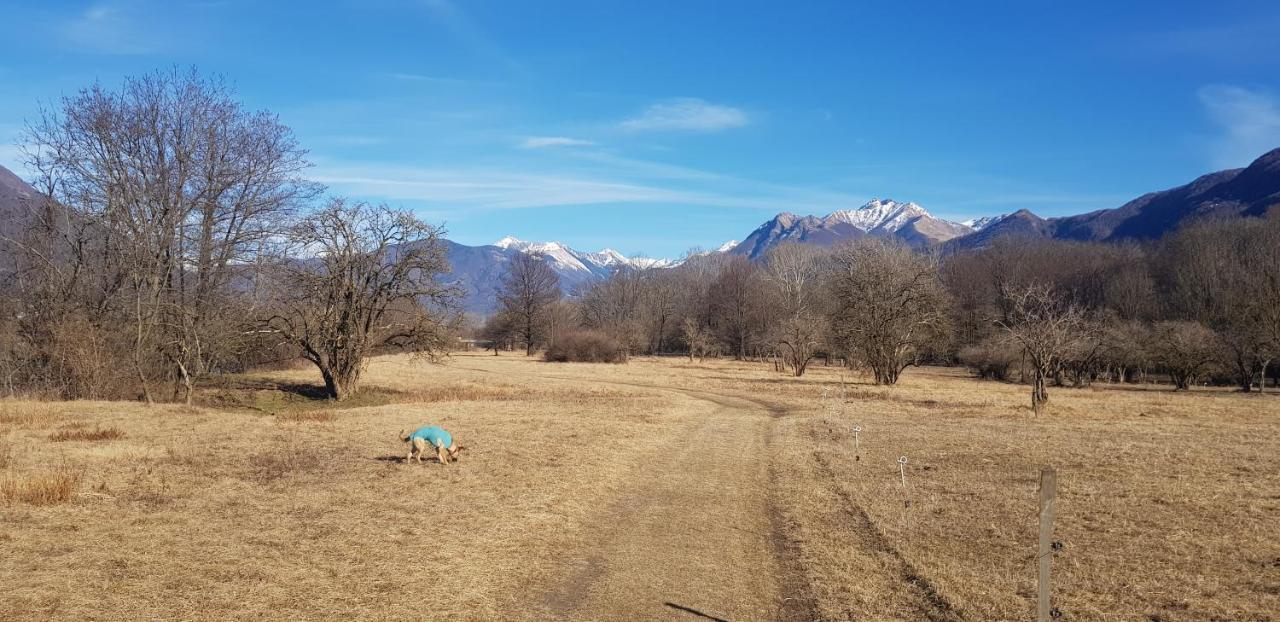 Appartamento di Vacanza Casa Leoni Verscio Esterno foto